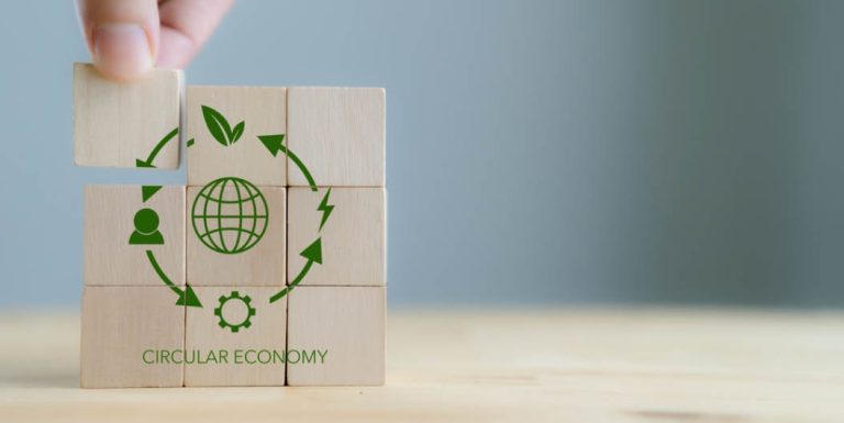 What Is A Circular Economy And Why Waste Matters