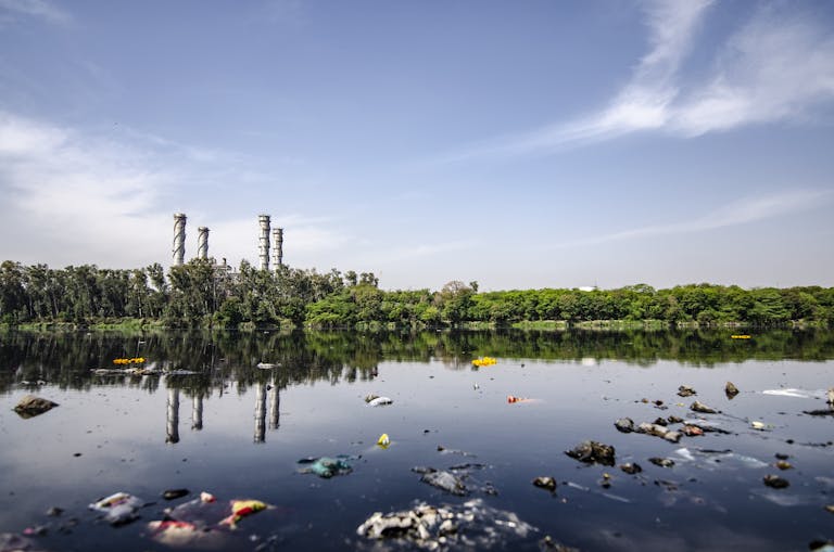 Behind the Scenes of a High-Risk Industry: Safety, Strategy, and Smelly Realities